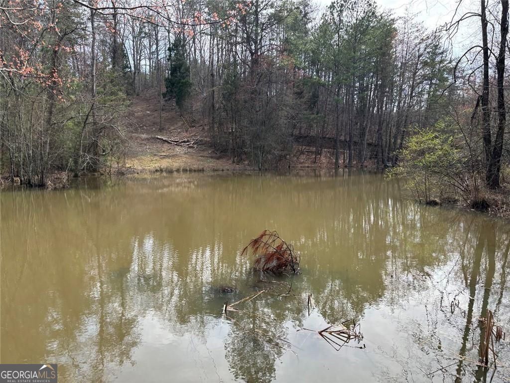 292 Shirley Road Southeast Ranger, GA 30734 - Photo 64 of 81