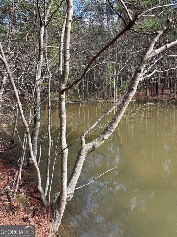 292 Shirley Road Southeast Ranger, GA 30734 - Photo 65 of 81