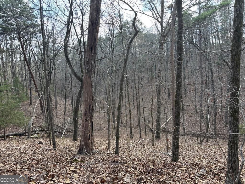 292 Shirley Road Southeast Ranger, GA 30734 - Photo 67 of 81