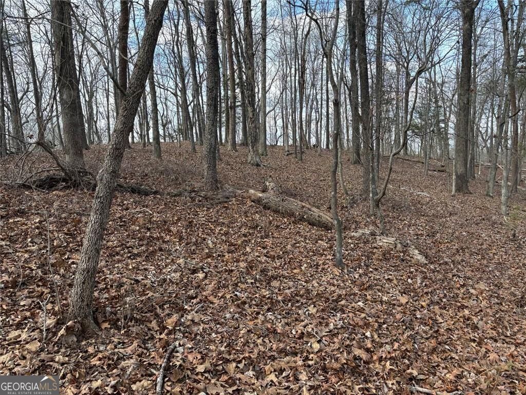 292 Shirley Road Southeast Ranger, GA 30734 - Photo 68 of 81