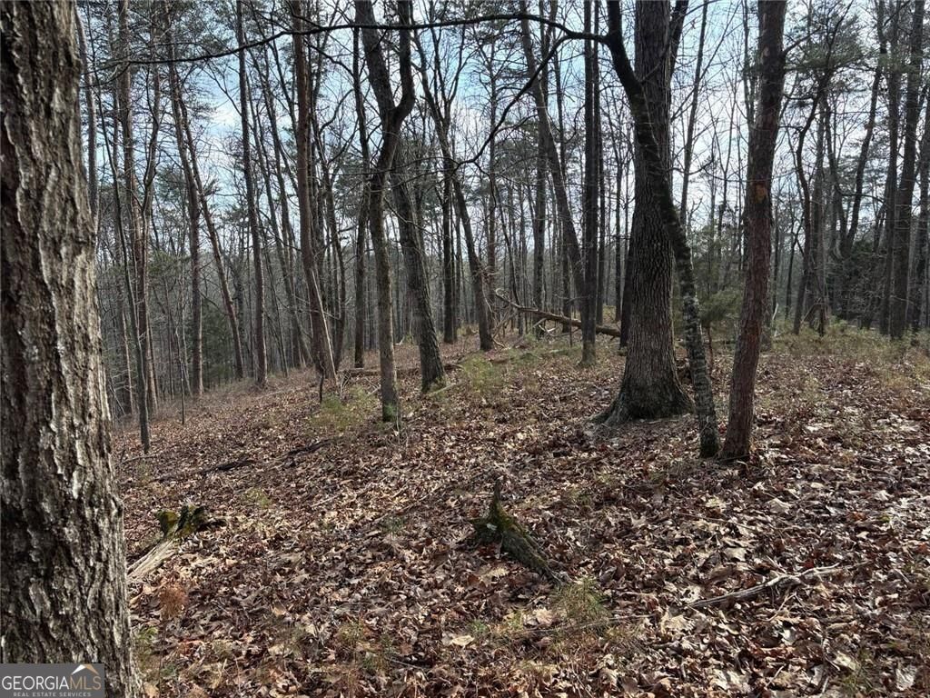 292 Shirley Road Southeast Ranger, GA 30734 - Photo 70 of 81