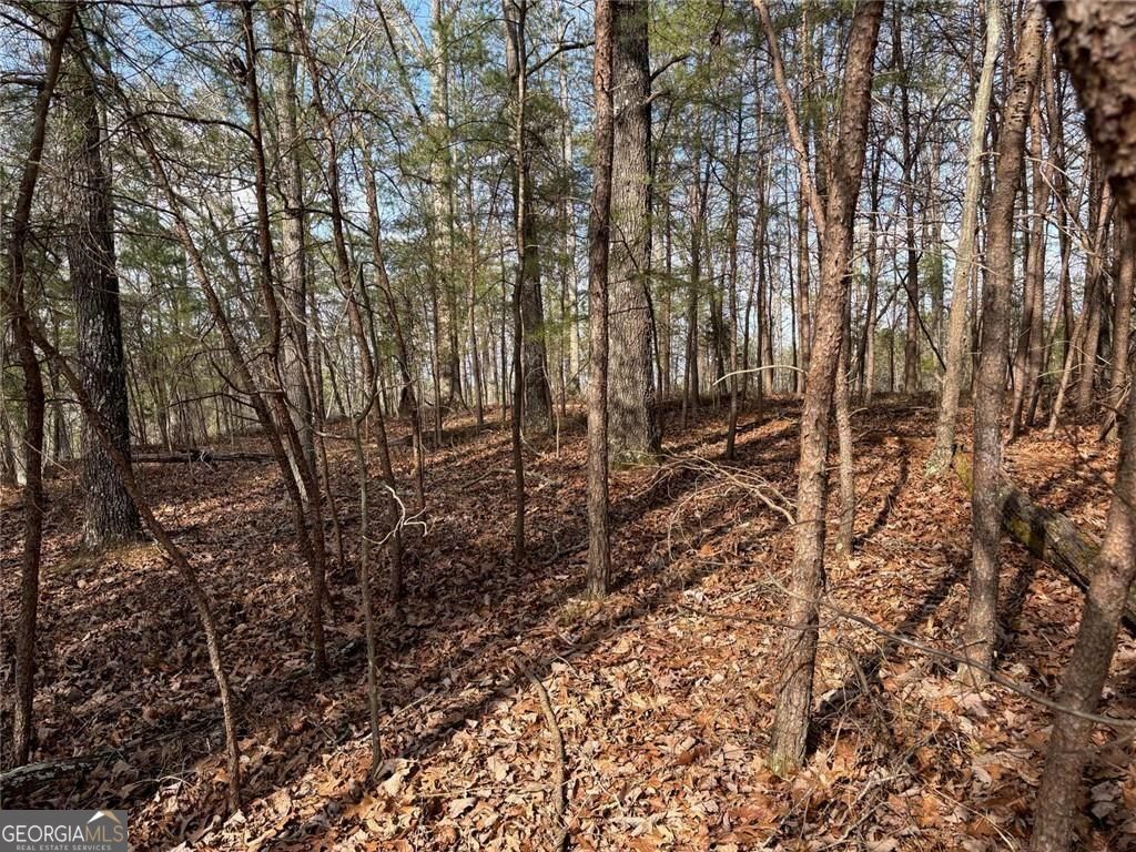 292 Shirley Road Southeast Ranger, GA 30734 - Photo 71 of 81