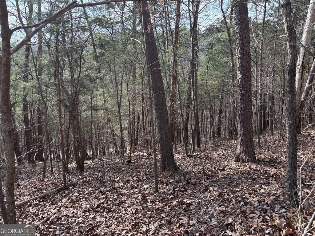 292 Shirley Road Southeast Ranger, GA 30734 - Photo 73 of 81