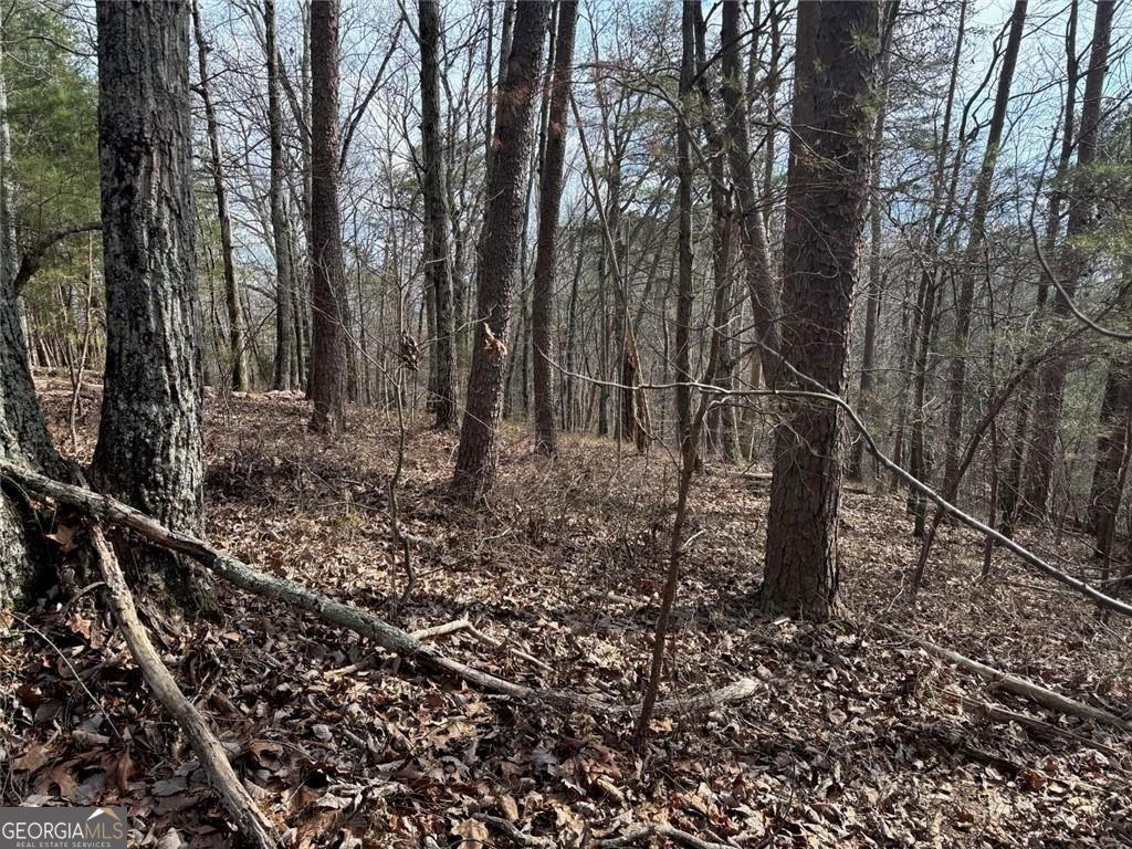 292 Shirley Road Southeast Ranger, GA 30734 - Photo 74 of 81