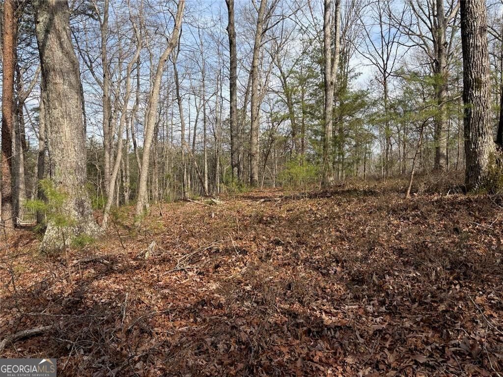 292 Shirley Road Southeast Ranger, GA 30734 - Photo 75 of 81