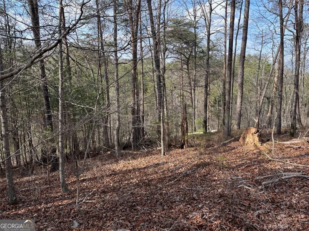 292 Shirley Road Southeast Ranger, GA 30734 - Photo 76 of 81