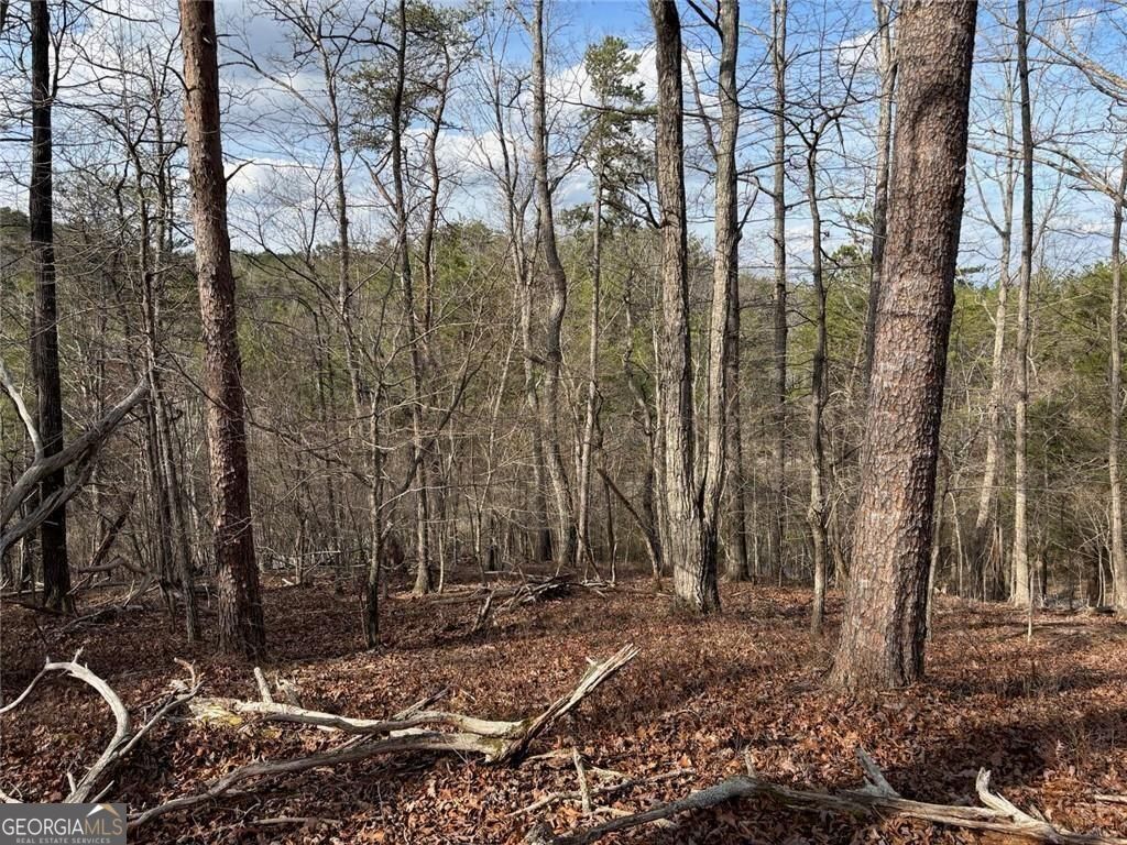 292 Shirley Road Southeast Ranger, GA 30734 - Photo 77 of 81