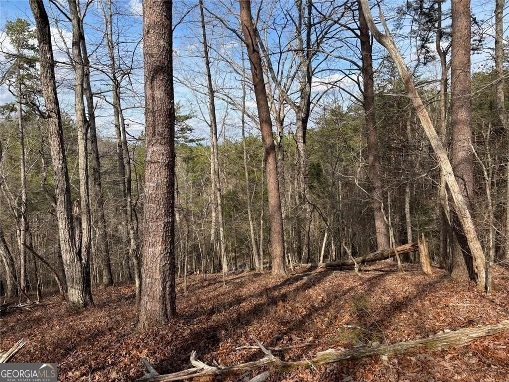 292 Shirley Road Southeast Ranger, GA 30734 - Photo 78 of 81