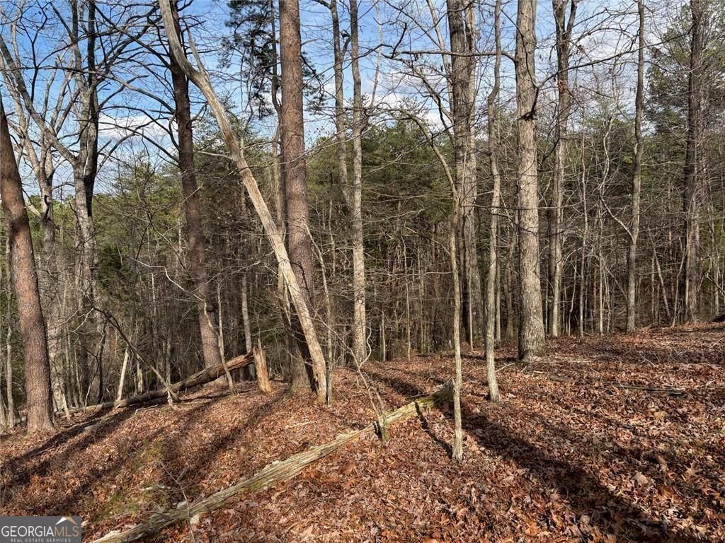 292 Shirley Road Southeast Ranger, GA 30734 - Photo 79 of 81