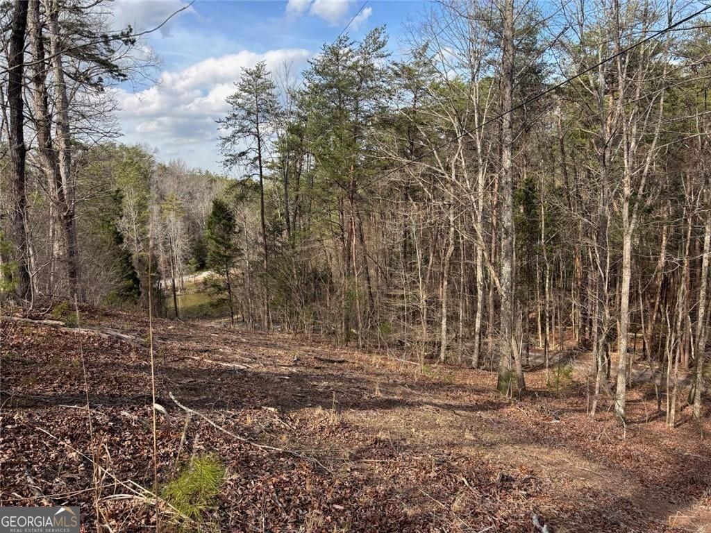 292 Shirley Road Southeast Ranger, GA 30734 - Photo 80 of 81