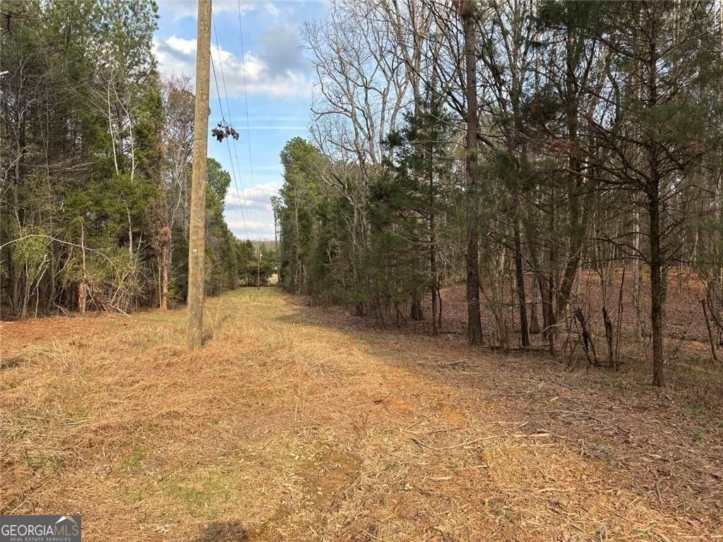 292 Shirley Road Southeast Ranger, GA 30734 - Photo 10 of 81