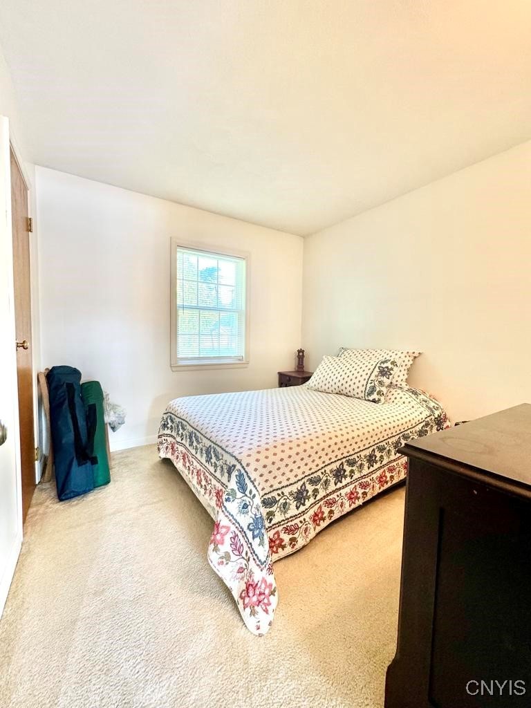 3000 Haskins Road Vienna, NY 13308 - Photo 24 of 50