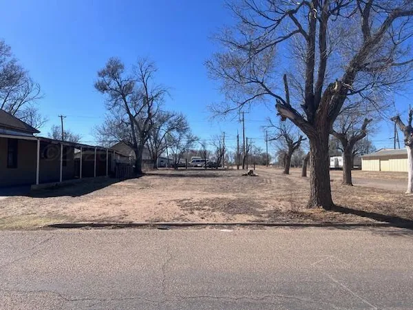 a view of road with large trees