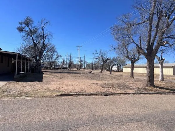 a house with trees in front of it