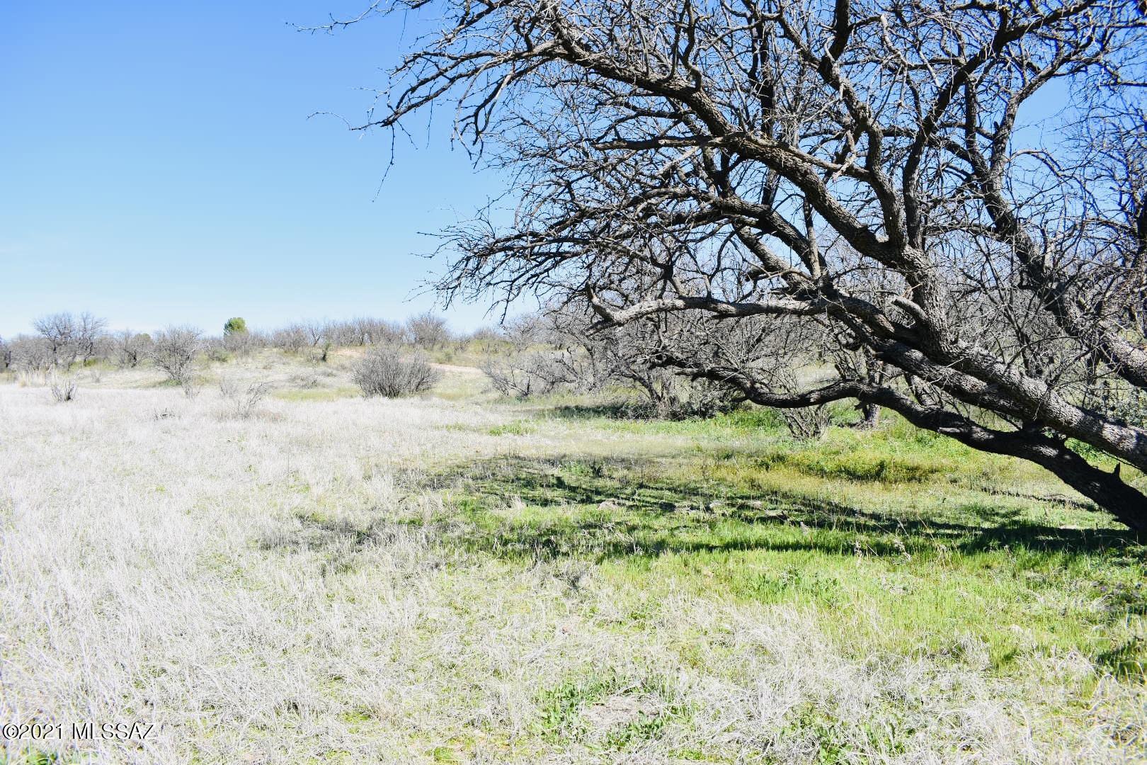 17306 4th Street Arivaca, AZ 85601 - Photo 4 of 5