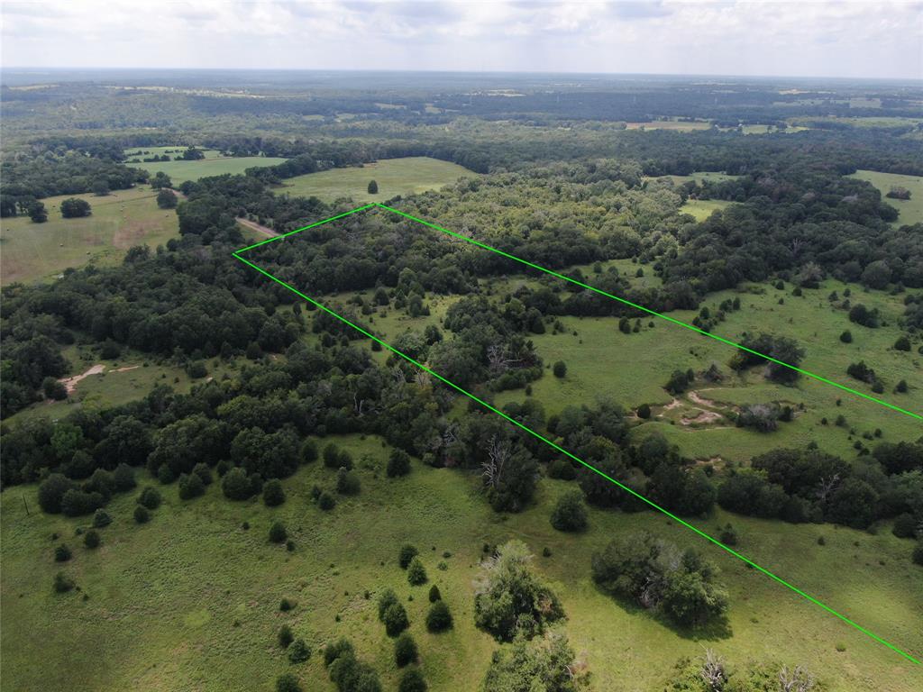 1 County Road 411 Buffalo, TX 75831 - Photo 2 of 6 an aerial view of forest