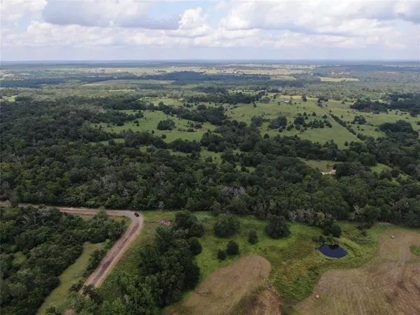 an aerial view of forest