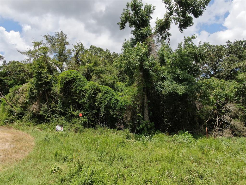 1 County Road 411 Buffalo, TX 75831 - Photo 6 of 6 a view of outdoor space and yard