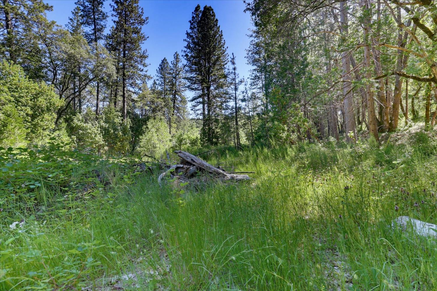 12666 Robinson Road Nevada City, CA 95959 - Photo 59 of 72