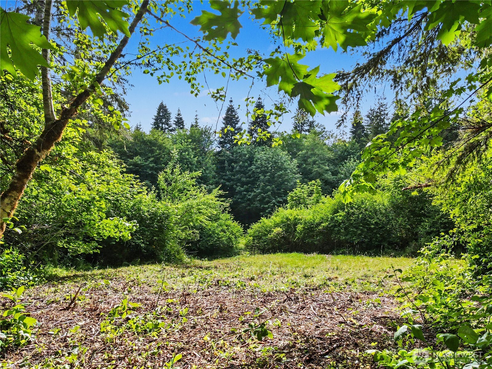 0 Wildwood Road Quilcene, WA 98376 - Photo 31 of 36