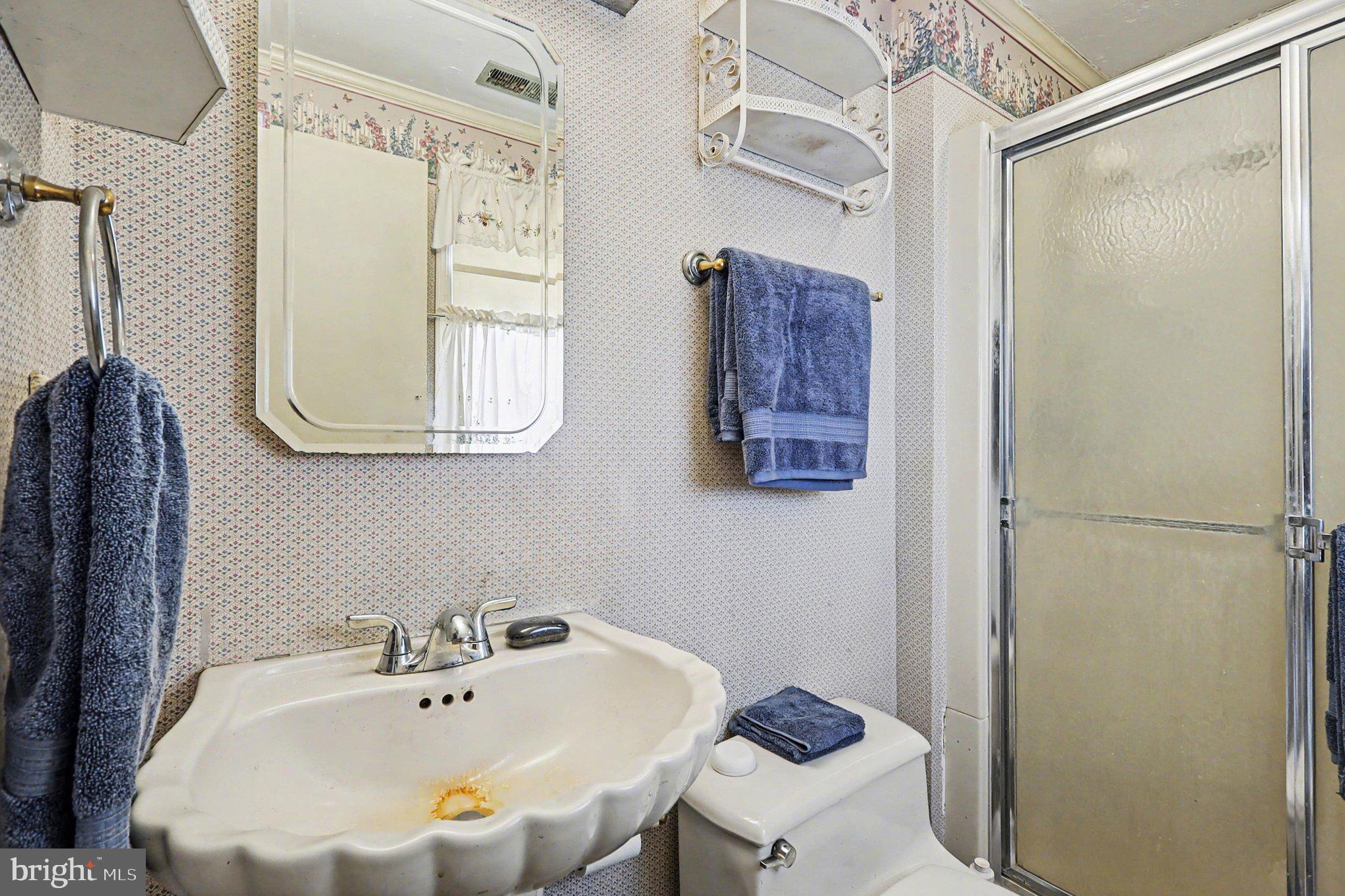 22244 Sam Fred Road Middleburg, VA 20117 - Photo 33 of 51 a bathroom with a sink and a mirror