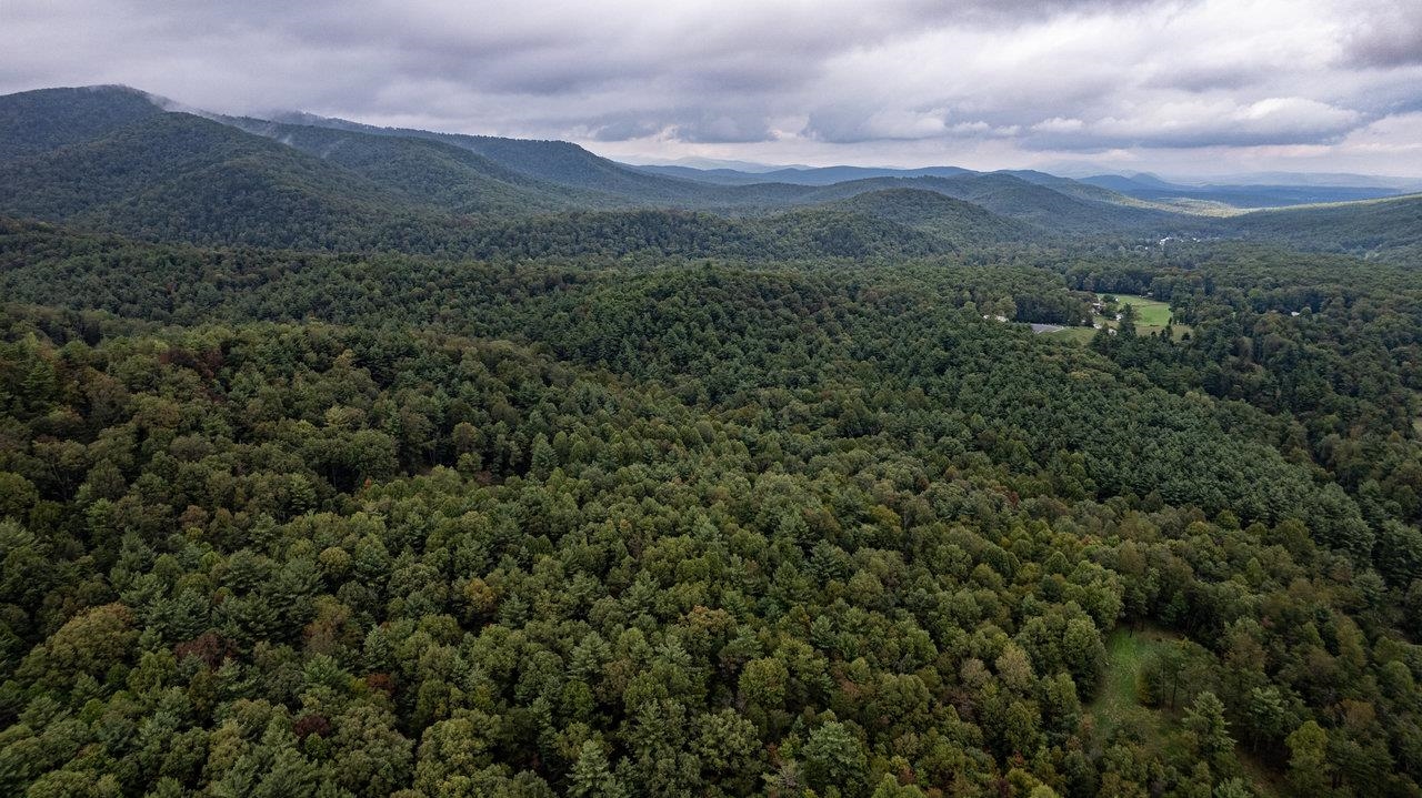 Tbd Tbd Hopkins Gap Road Harrisonburg, VA 22802 - Photo 4 of 4 a view of a lush green hillside and a mountain