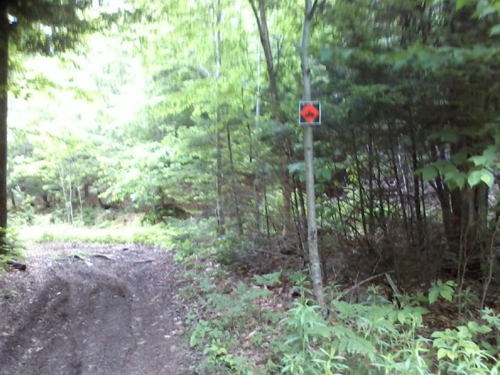 0 Northwest Round-The-Pond Road Norway, ME 04268 - Photo 11 of 25 Photo