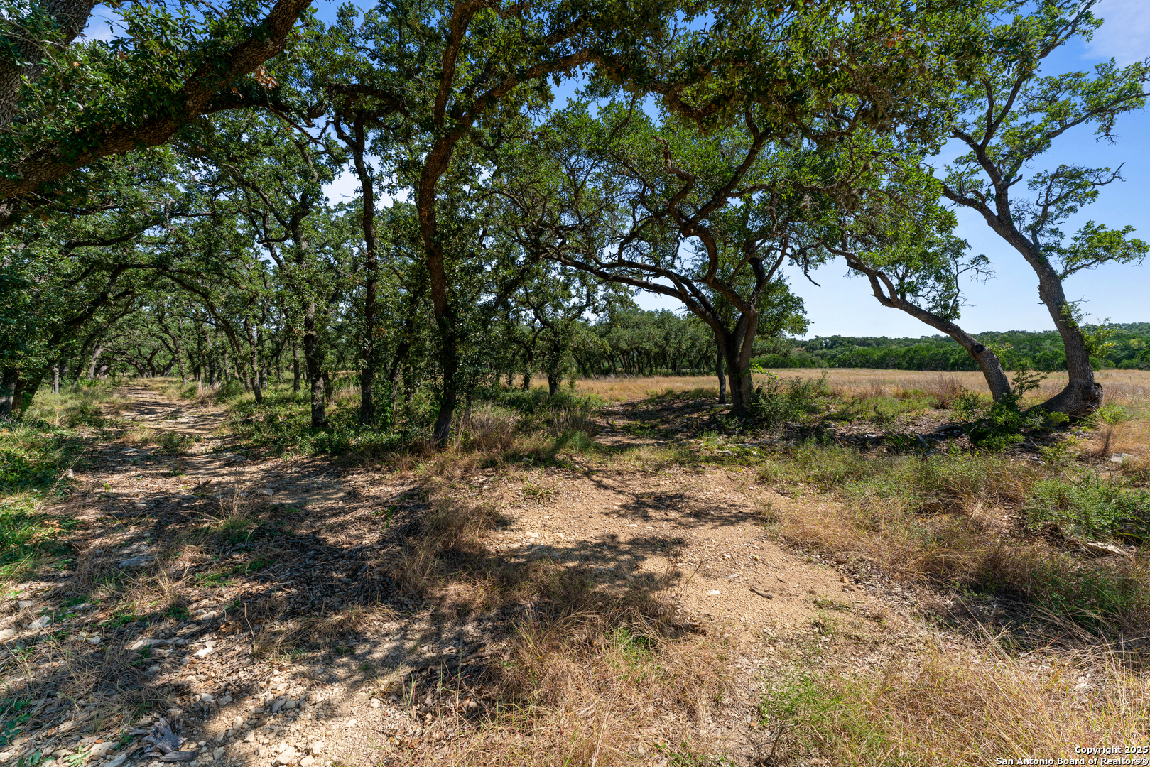 1131 Adyson Rdg Drive Bulverde, TX 78163 - Photo 13 of 24