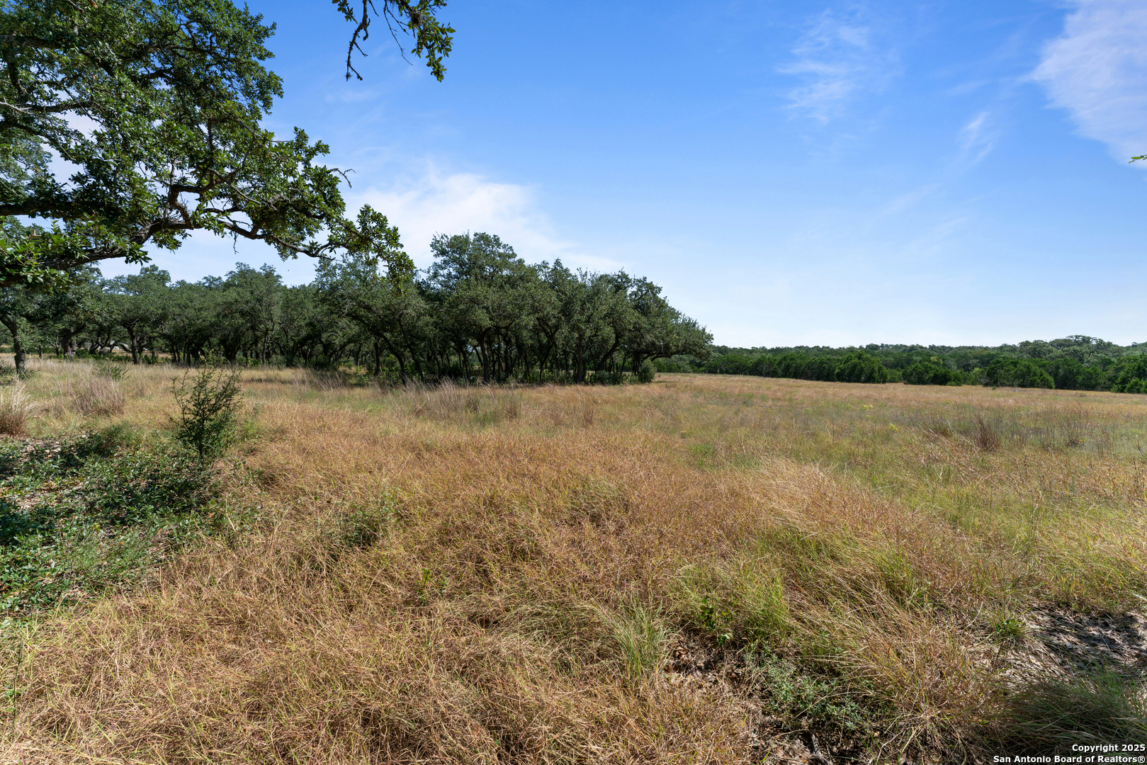 1131 Adyson Rdg Drive Bulverde, TX 78163 - Photo 20 of 24