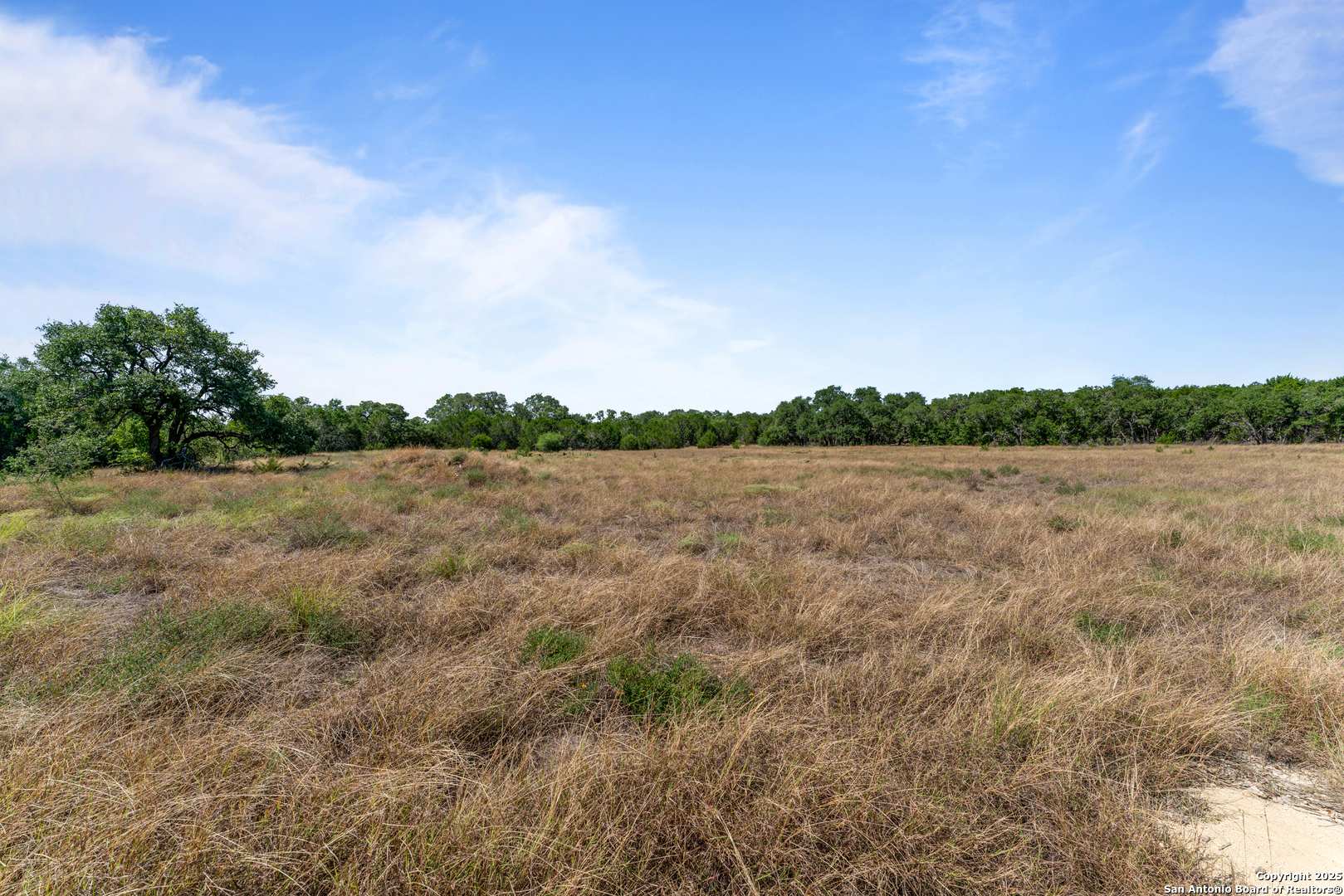 1131 Adyson Rdg Drive Bulverde, TX 78163 - Photo 5 of 24