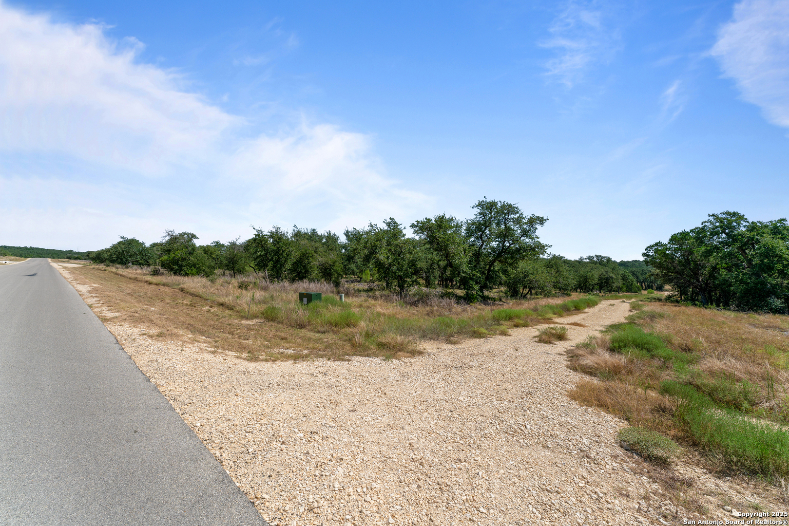 1131 Adyson Rdg Drive Bulverde, TX 78163 - Photo 6 of 24