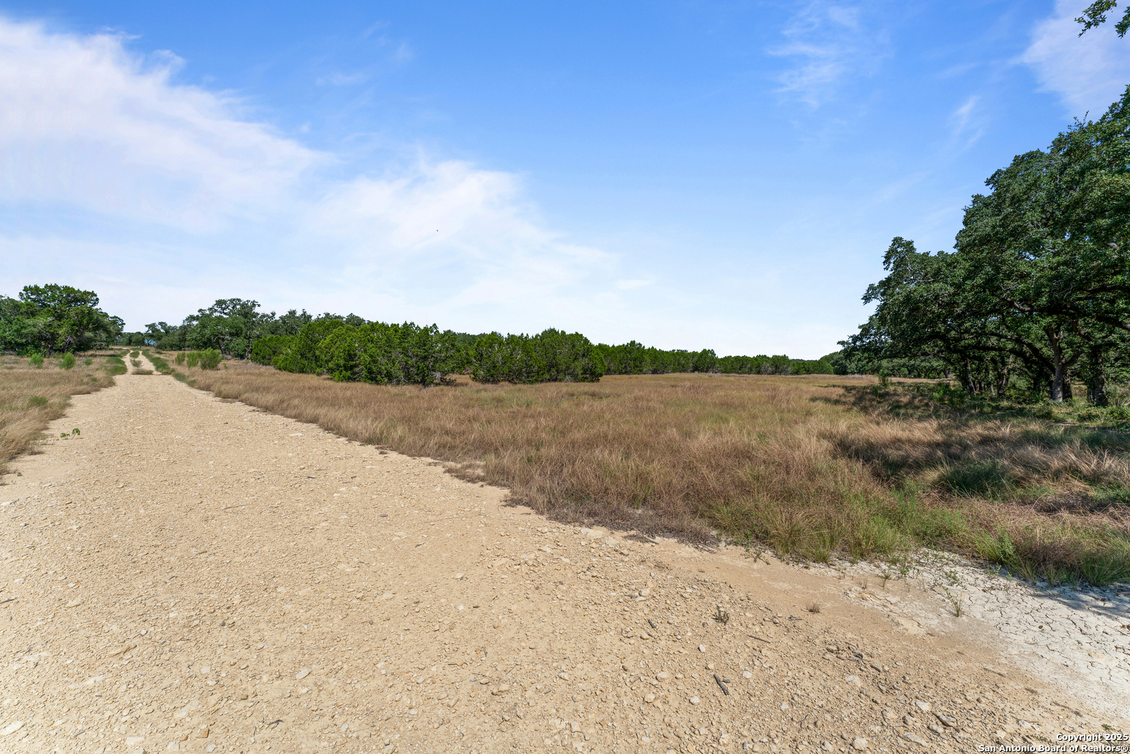1131 Adyson Rdg Drive Bulverde, TX 78163 - Photo 7 of 24