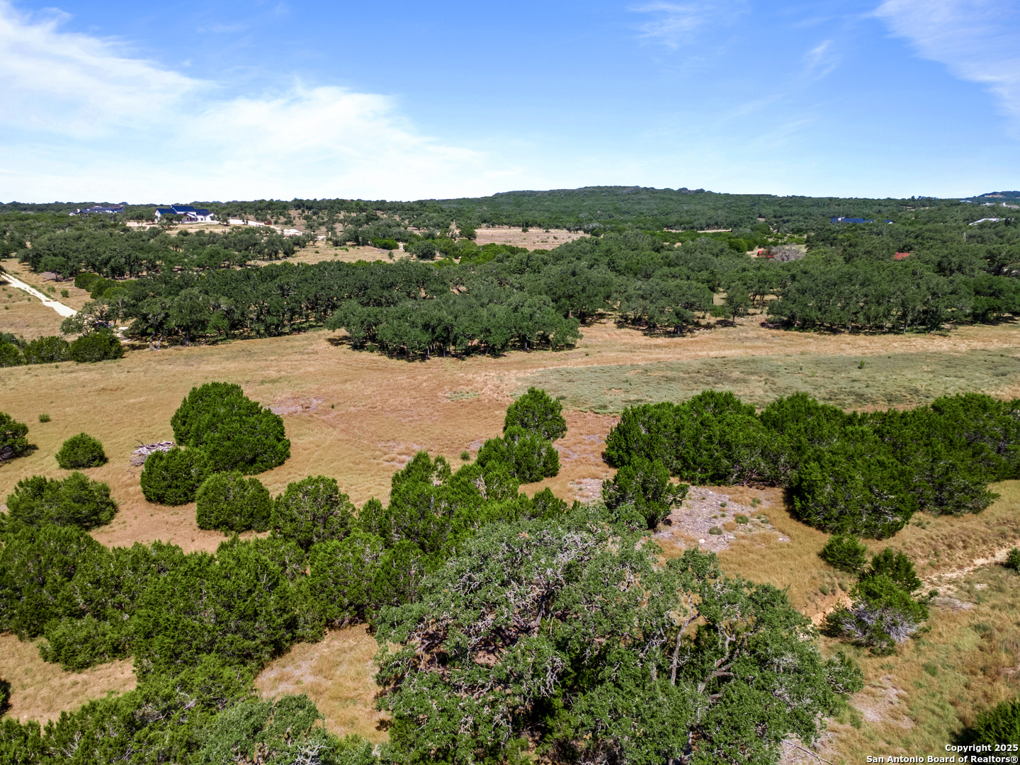 1131 Adyson Rdg Drive Bulverde, TX 78163 - Photo 8 of 24