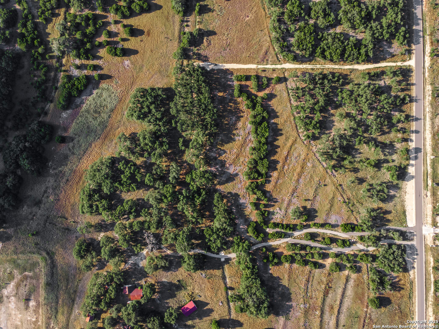 1131 Adyson Rdg Drive Bulverde, TX 78163 - Photo 9 of 24