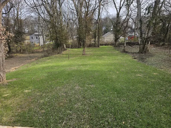 a view of a tree in a yard
