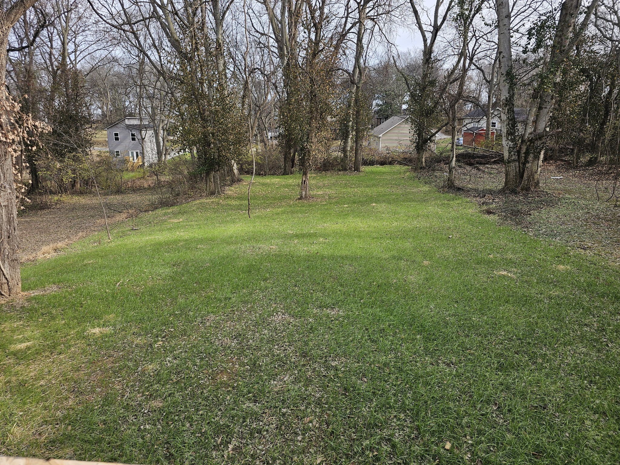 503 9th Street, Unit B Clarksville, TN 37040 - Photo 11 of 13 a view of a tree in a yard