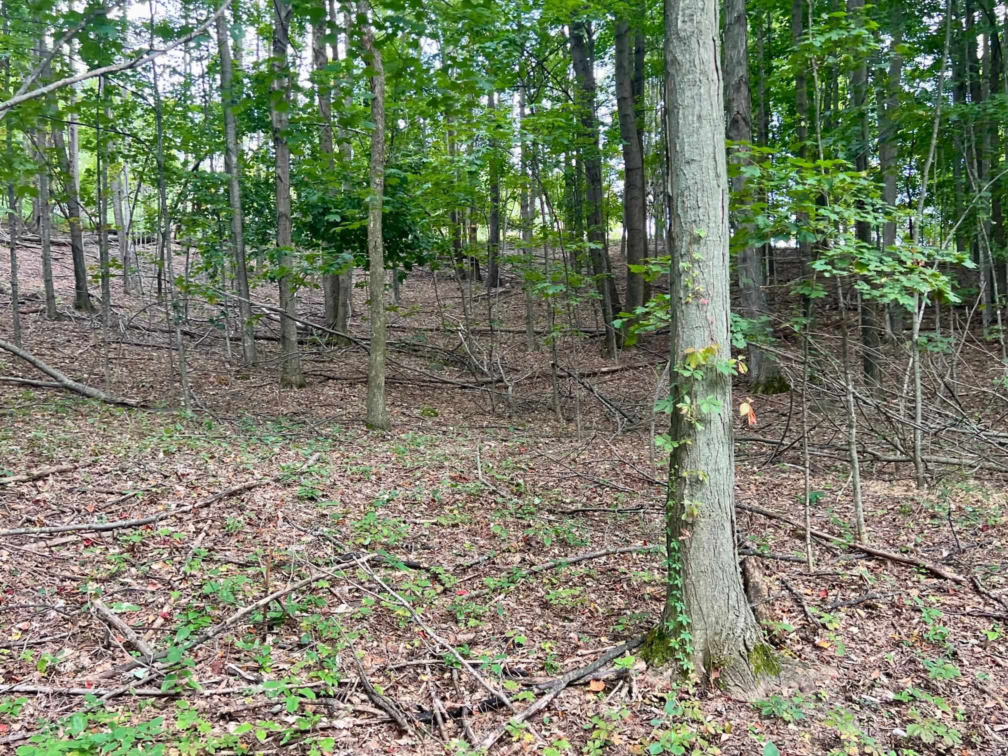 0 Skinner Road Charlevoix, MI 49720 - Photo 15 of 15