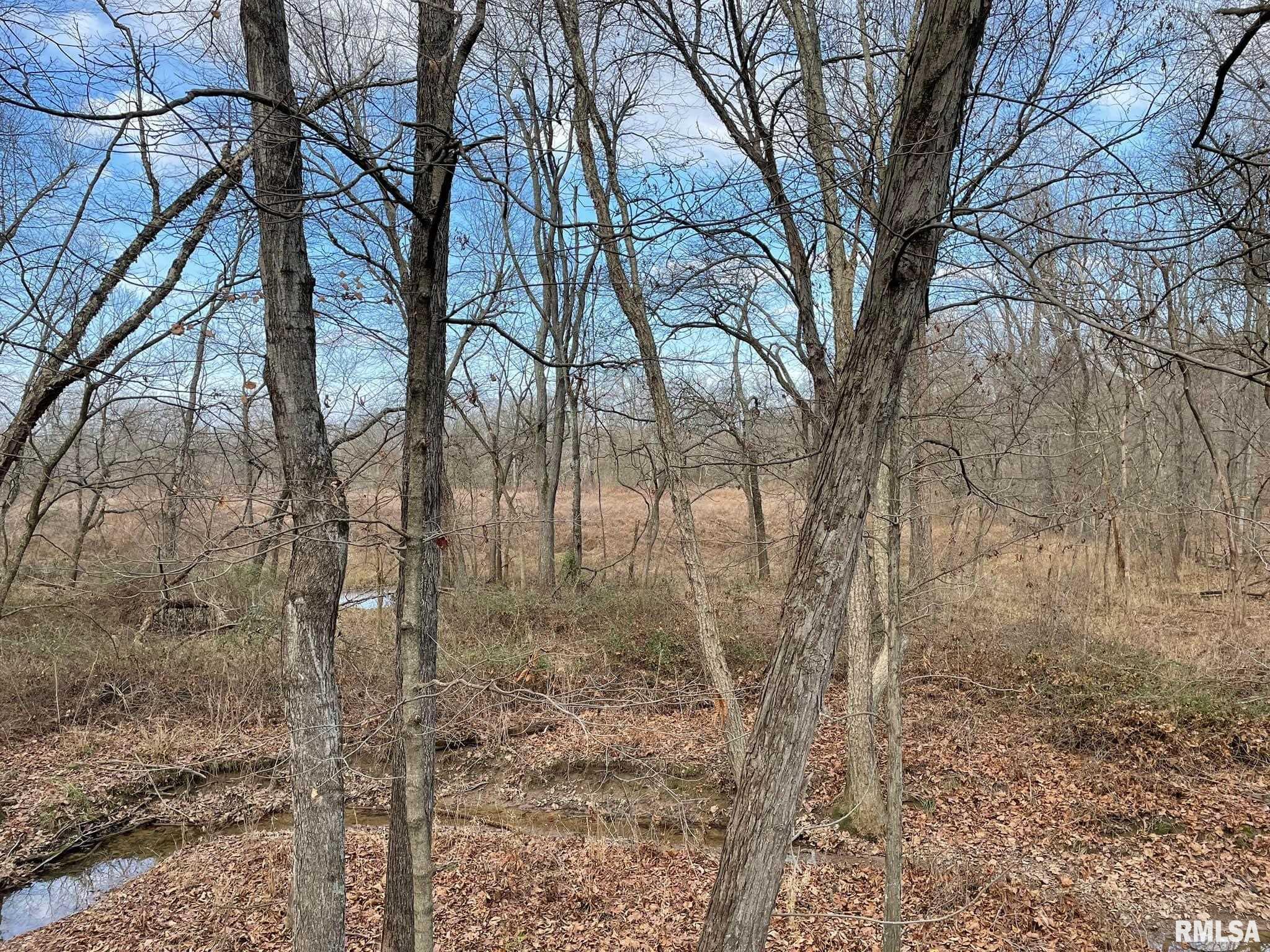 750 Shawnee Road Centralia, IL 62801 - Photo 1 of 1