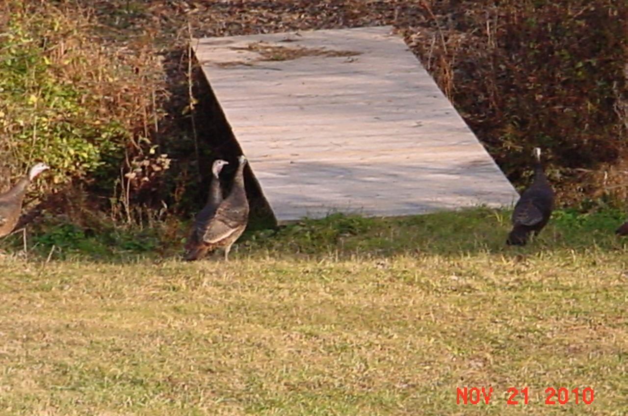 9711 York Road Southwest Etna, OH 43046 - Photo 54 of 57 Gallery Image 54