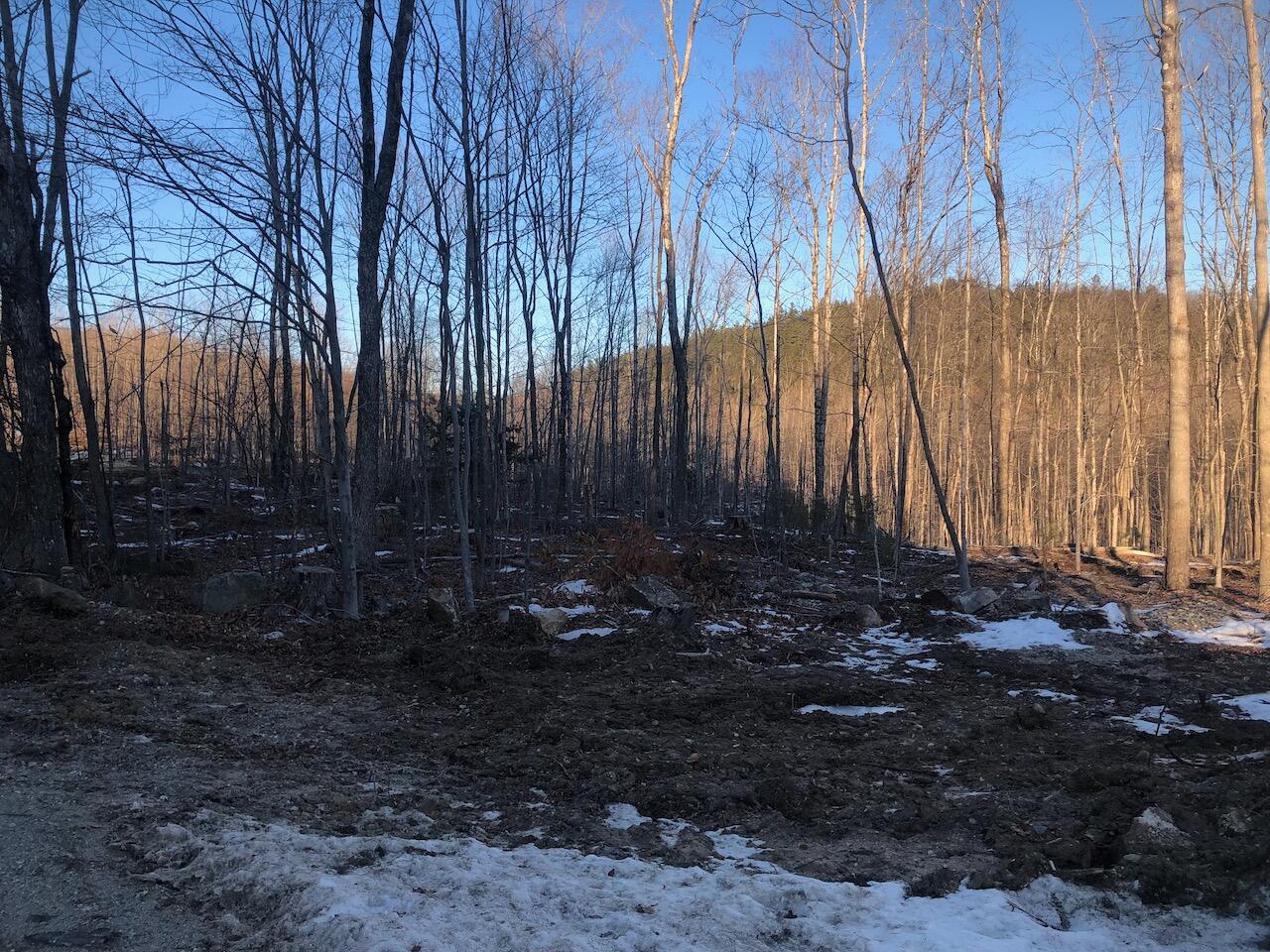 L25 Canton Mountain Road Jay, ME 04239 - Photo 6 of 25 IMG_7998