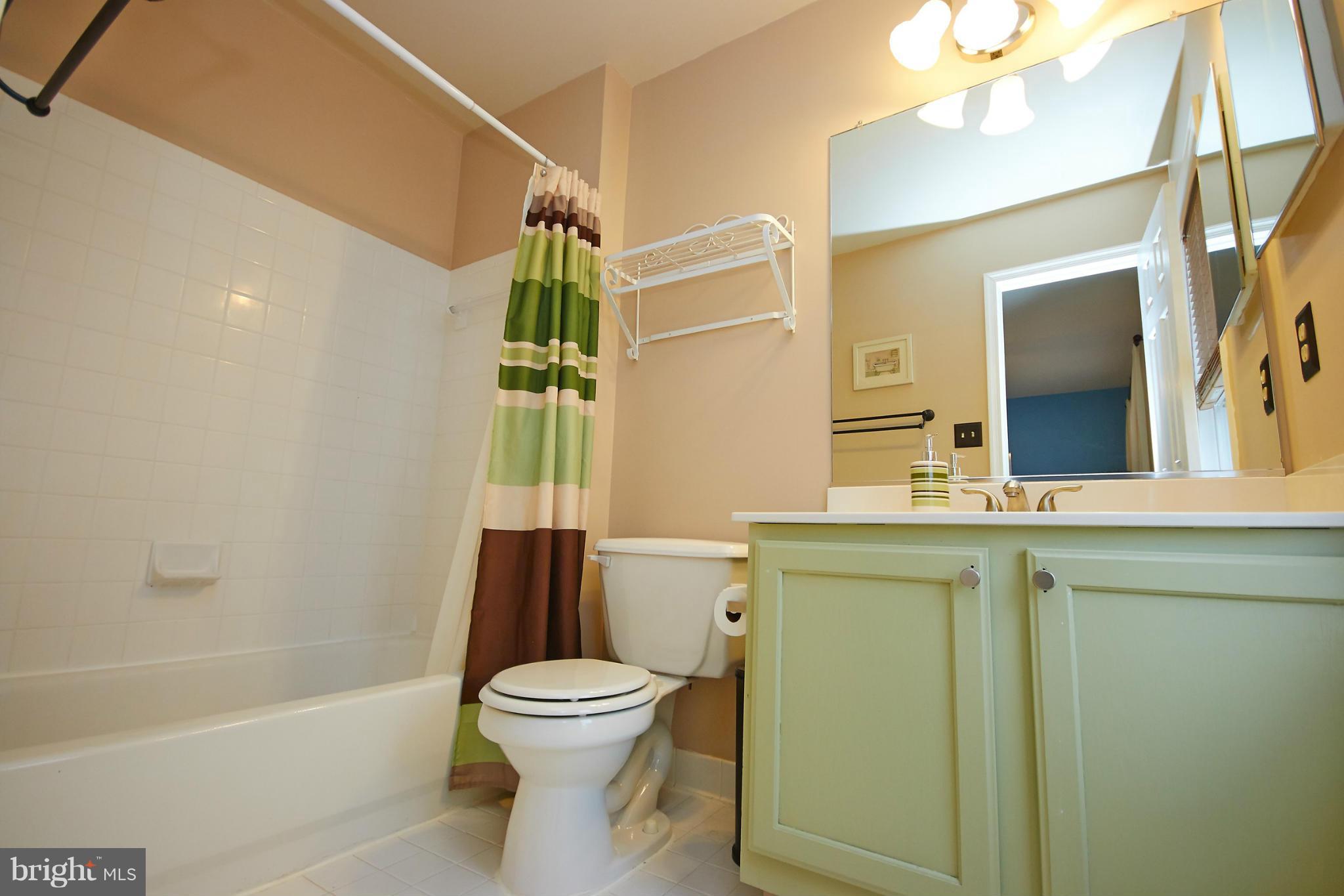 8461 Tackhouse Loop Gainesville, VA 20155 - Photo 16 of 29 a bathroom with a sink a toilet and shower