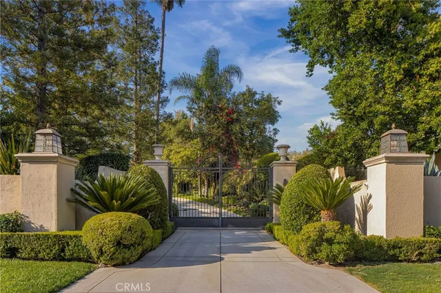 a view of a yard with plants and a fountain