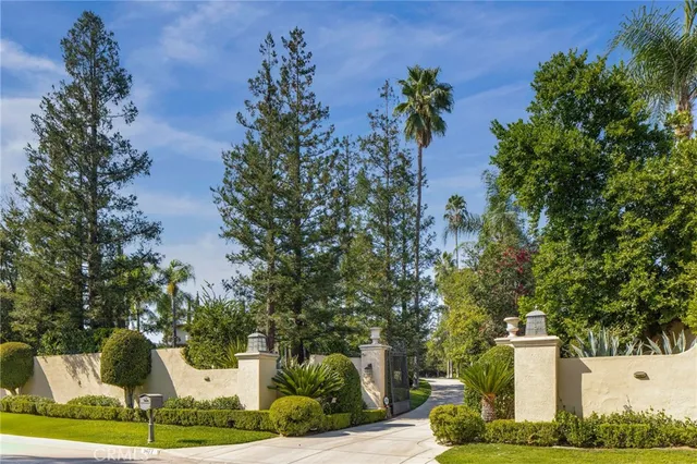 a view of a yard with palm trees