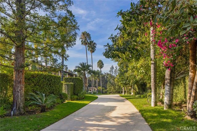 a view of a park with plants and trees