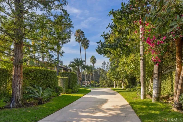 a view of a park with plants and trees