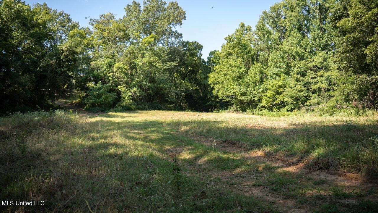 571 Doloroso-rosetta Road Woodville, MS 39669 - Photo 38 of 47 ZTS03158 Large