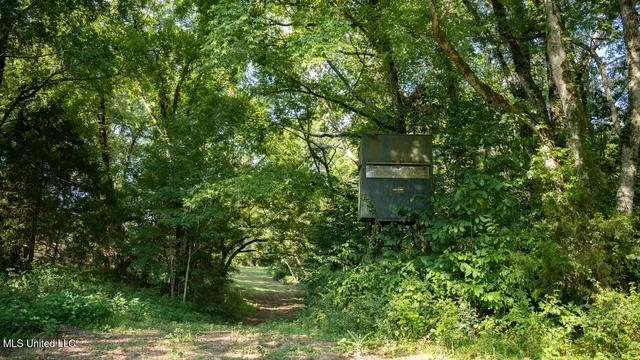 $2,100,000 | 571 Doloroso-rosetta Road, Woodville, MS 39669