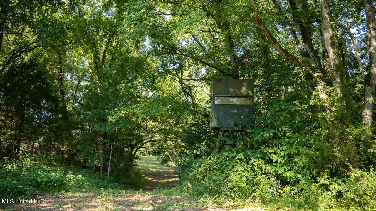 571 Doloroso-rosetta Road Woodville, MS 39669 - Photo 39 of 47 ZTS03161 Large