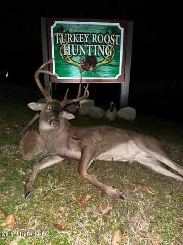 $2,100,000 | 571 Doloroso-rosetta Road, Woodville, MS 39669