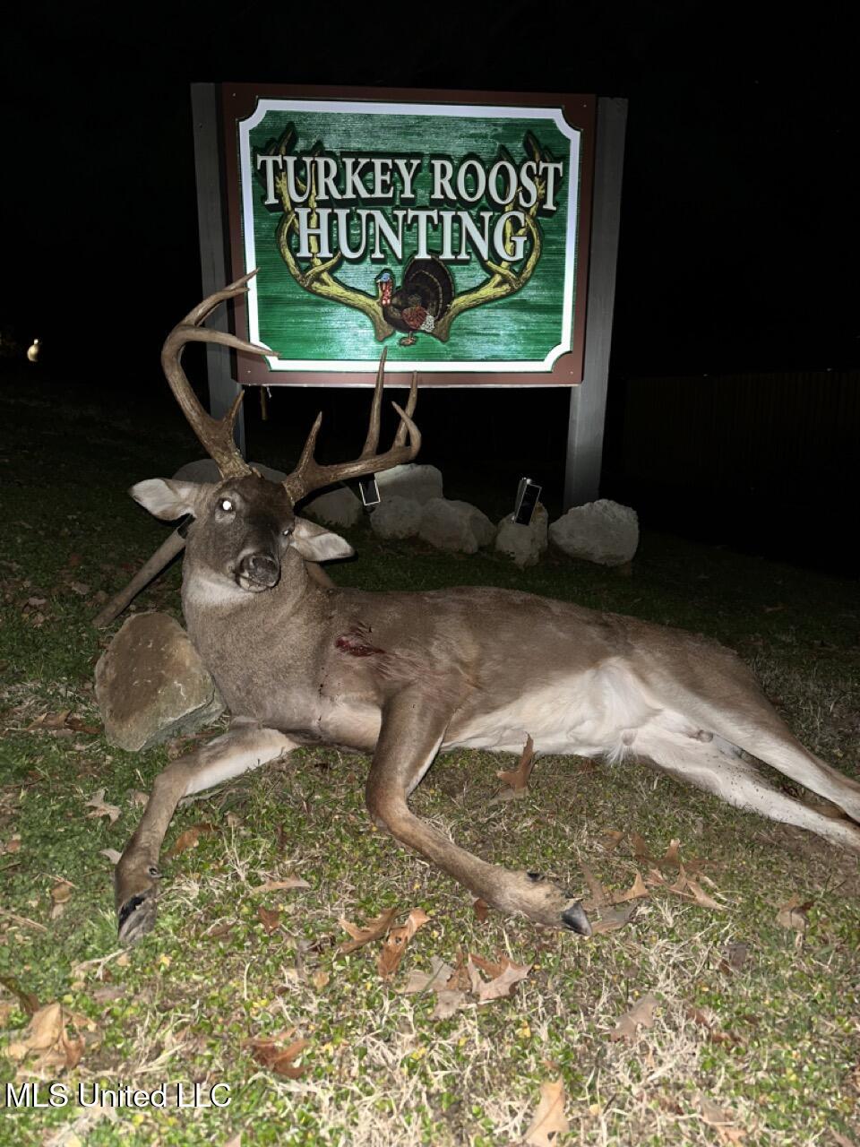 571 Doloroso-rosetta Road Woodville, MS 39669 - Photo 41 of 47 IMG_6319 Large